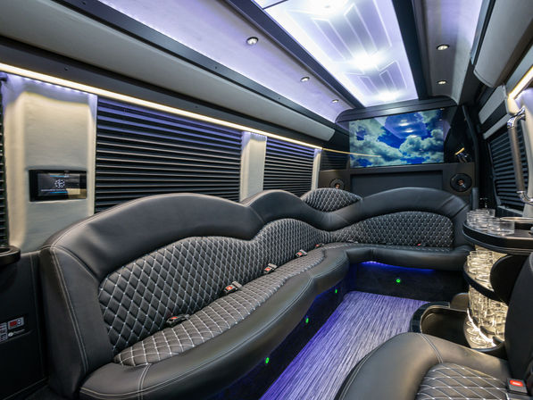 VIP Sprinter Van Limousine Service for Up to 14 Passengers (BYOB) image 3