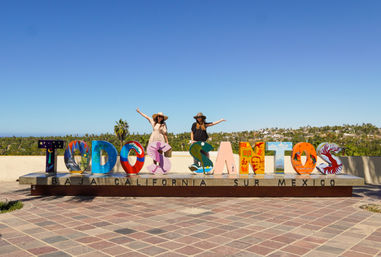 Magical Todos Santos, Camel Interaction & Mexican Buffet Lunch image 1