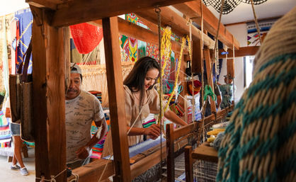 Magical Todos Santos, Camel Interaction & Mexican Buffet Lunch image 13