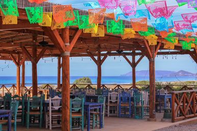 Magical Todos Santos, Camel Interaction & Mexican Buffet Lunch image 15