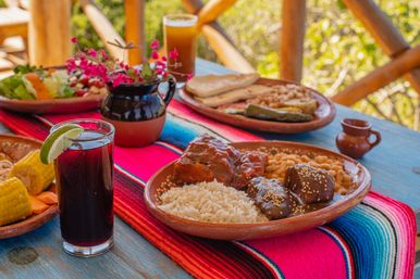 Magical Todos Santos, Camel Interaction & Mexican Buffet Lunch image 12