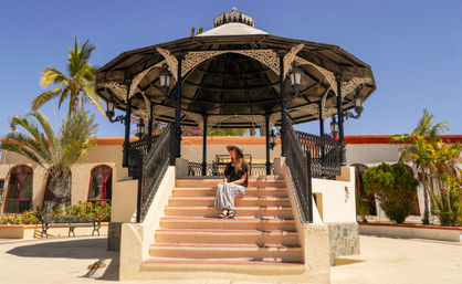 Magical Todos Santos, Camel Interaction & Mexican Buffet Lunch image 16