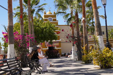 Magical Todos Santos, Camel Interaction & Mexican Buffet Lunch image 14