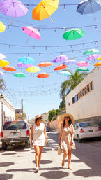 Magical Todos Santos, Camel Interaction & Mexican Buffet Lunch image 30