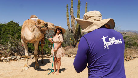 Magical Todos Santos, Camel Interaction & Mexican Buffet Lunch image 24