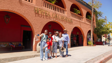 Magical Todos Santos, Camel Interaction & Mexican Buffet Lunch image 2