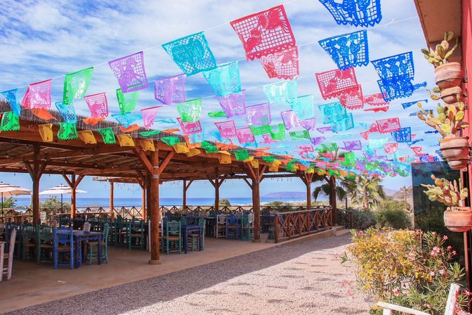 Magical Todos Santos, Camel Interaction & Mexican Buffet Lunch image 19