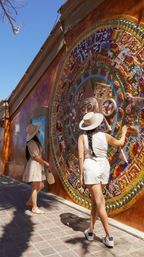 Magical Todos Santos, Camel Interaction & Mexican Buffet Lunch image 31