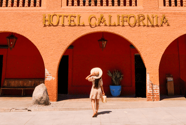 Magical Todos Santos, Camel Interaction & Mexican Buffet Lunch image 18