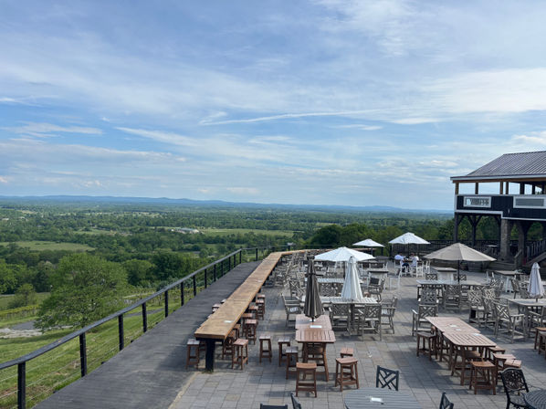 Bluemont Bach Wine Tour: Charming Luxury Wine Experience image 9