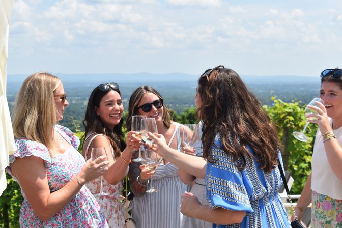 Bluemont Bach Wine Tour: Charming Luxury Wine Experience image 3