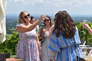 Bluemont Bach Wine Tour: Charming Luxury Wine Experience image 2