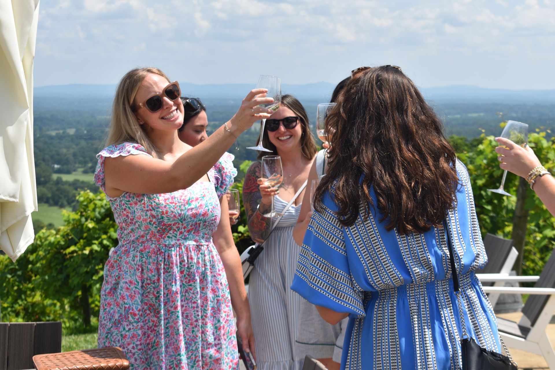 Bluemont Bach Wine Tour: Charming Luxury Wine Experience image 2