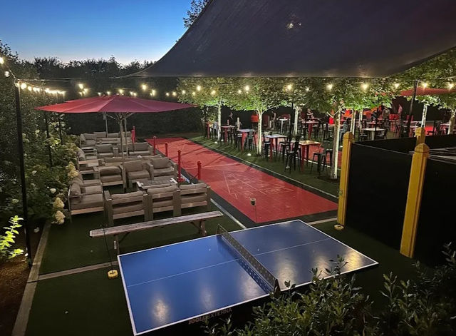 Big Celebration Package: Chauffeured Van with Onboard Bar + Bonus Room Decor image 4