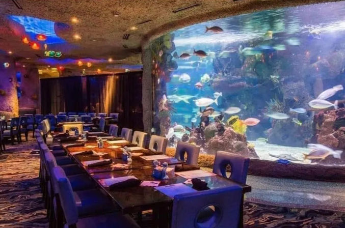 Big Celebration Package: Chauffeured Van with Onboard Bar + Bonus Room Decor image 5