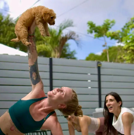 Mobile Puppy Yoga Experience at Location of Your Choice image 4