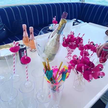 BYOB Yacht Party On Board 48' Silverton (Up to 13 Passengers) image 19