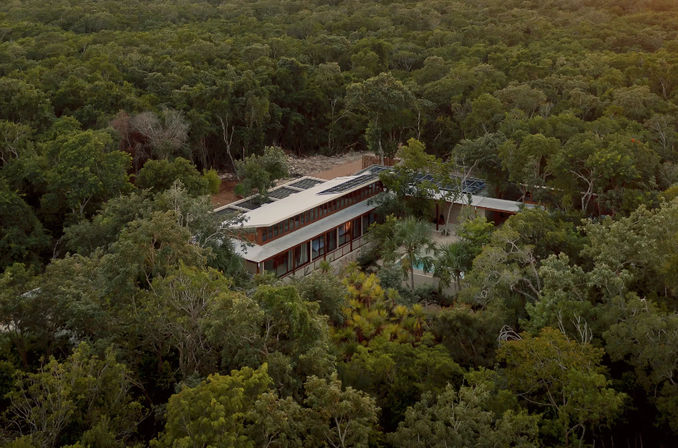 Casa Tropical: Modern Jungle Living at its Best image 8