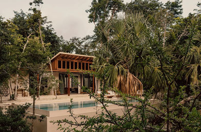 Casa Tropical: Modern Jungle Living at its Best image 10