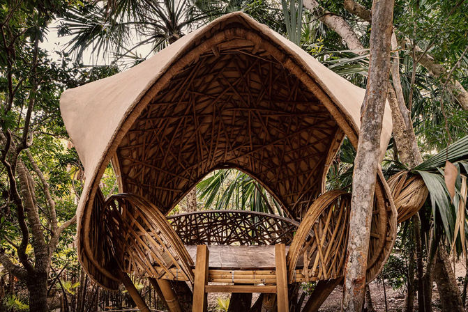 Casa Tropical: Modern Jungle Living at its Best image 13