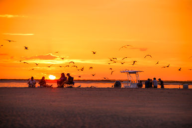 Beach Cookout Boat Tour from Folly Beach image
