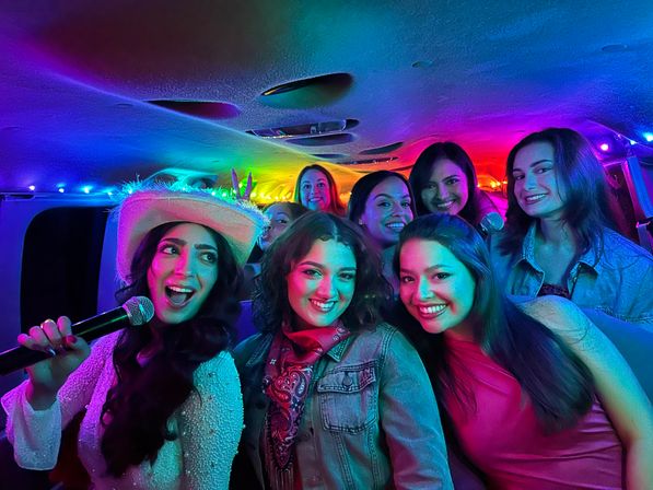 Wild 24/7 Party Bus: Party & Ride with Karaoke, Lights, & Luggage Space image 1