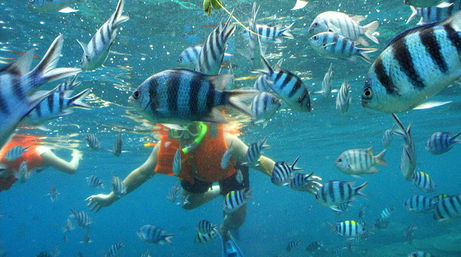 Isla Mujeres Golden Catamaran Tour image 12