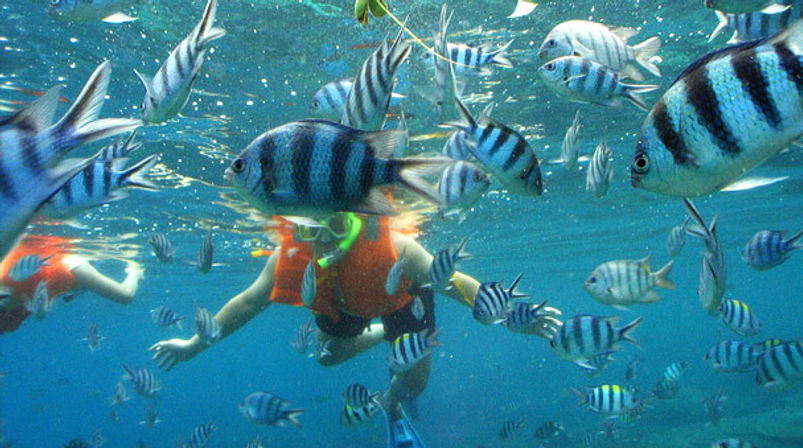 Isla Mujeres Golden Catamaran Tour image 12