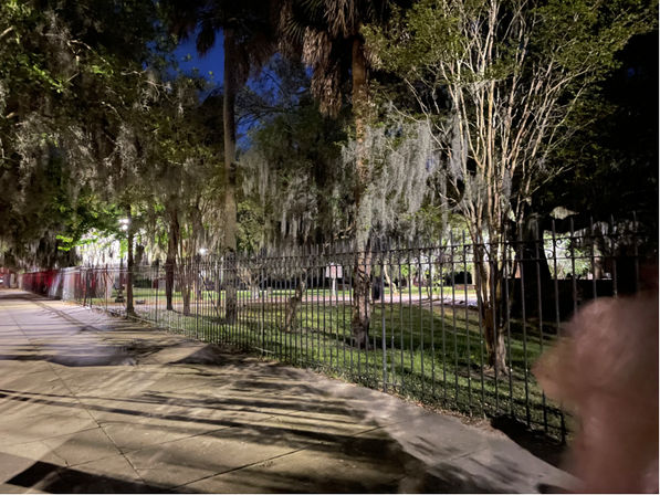 'Till Death Do Us Part: Savannah's Haunted Pub Crawl of Love and Death image 26