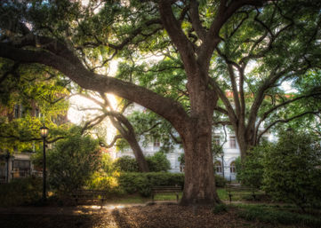 'Till Death Do Us Part: Savannah's Haunted Pub Crawl of Love and Death image 41