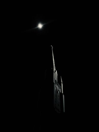 'Till Death Do Us Part: Savannah's Haunted Pub Crawl of Love and Death image 16