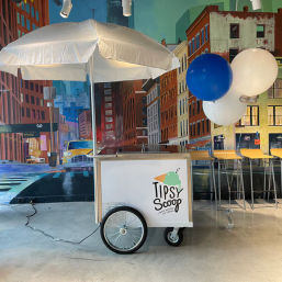 Insta-Worthy Boozy Ice Cream Cart Setup by Tipsy Scoop (50 Guest Minimum) image 6