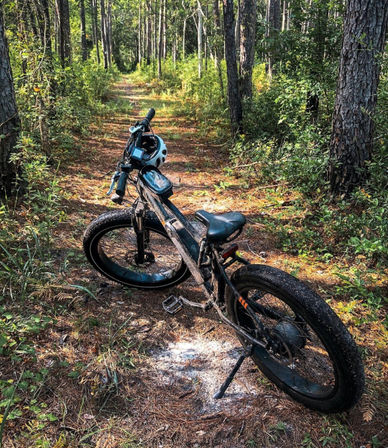 Full Day Insta-Worthy E-Bike Rental: Riding Through Beautiful Charleston image 11