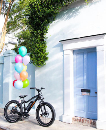 Full Day Insta-Worthy E-Bike Rental: Riding Through Beautiful Charleston image 6