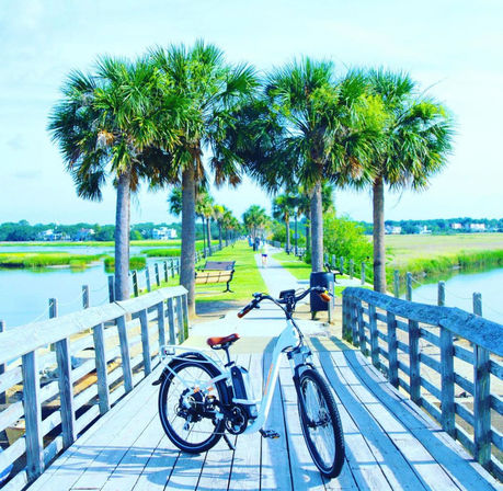 Full Day Insta-Worthy E-Bike Rental: Riding Through Beautiful Charleston image 22