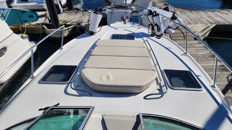 "Scratched Anchor" 38' Chaparral Yacht Charter image 9