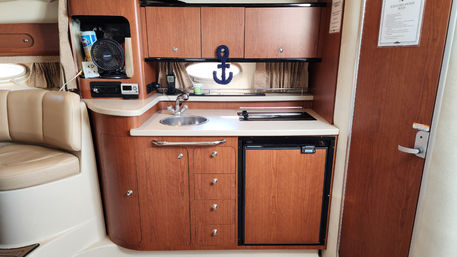 "Scratched Anchor" 38' Chaparral Yacht Charter image 5