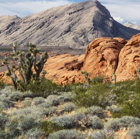 Off Road Experience with Adrenaline Mountain Las Vegas image 6