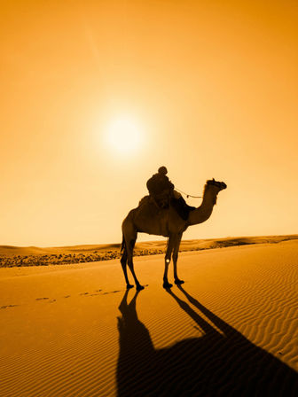 Ultimate Bachelor/Bachelorette Party Packages: Concierge Services, Transportation, Private Chef, Luxury Yacht & More image 5