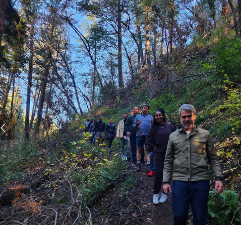 Napa Native Tours: Redwood Hike + Wine image 12