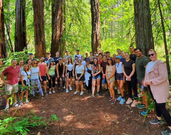 Napa Native Tours: Redwood Hike + Wine image 4