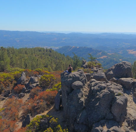 Napa Native Tours: Redwood Hike + Wine image 8