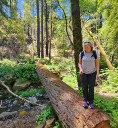 Napa Native Tours: Redwood Hike + Wine image 10