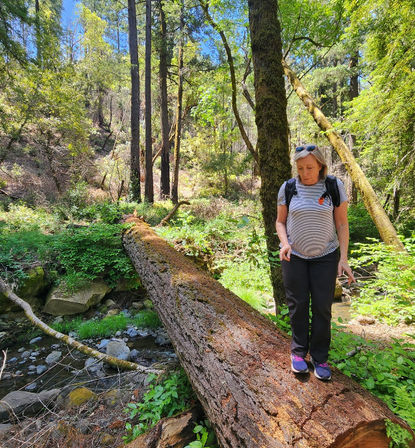Napa Native Tours: Redwood Hike + Wine image 10