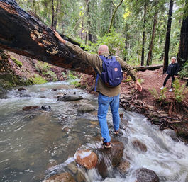 Napa Native Tours: Redwood Hike + Wine image 2