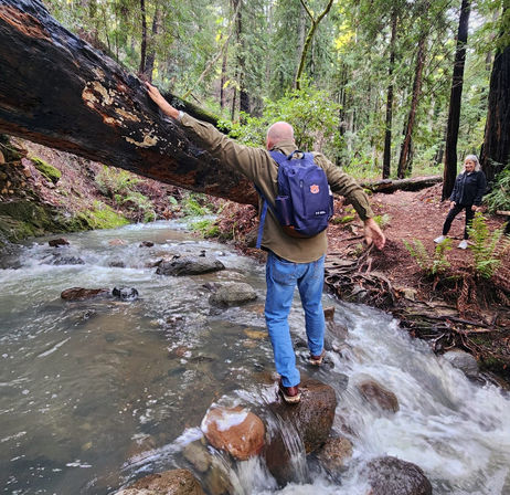 Napa Native Tours: Redwood Hike + Wine image 2