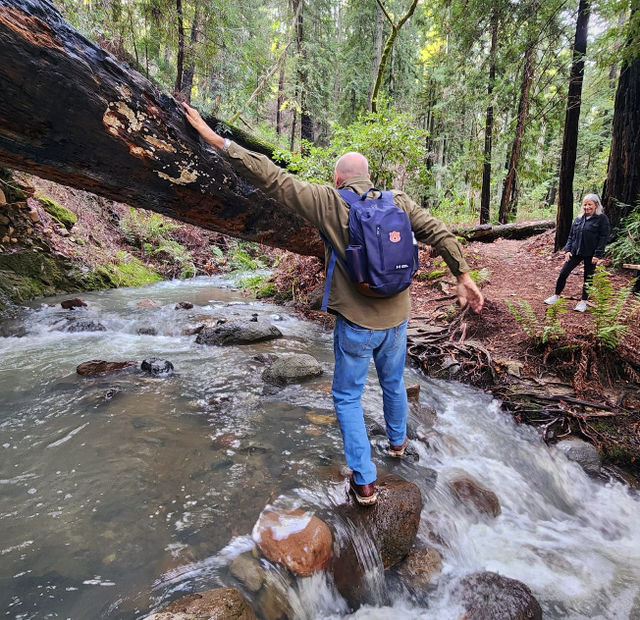 Napa Native Tours: Redwood Hike + Wine image 3