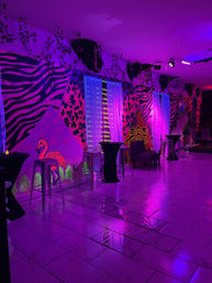 Private Karaoke & Cocktails Experience image 2
