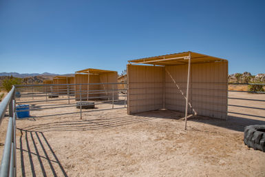 The Bust'n B Ranch: 4-Bedroom Rental on 10 Private Acres with Salt Water Pool + Built-In Spa image 78