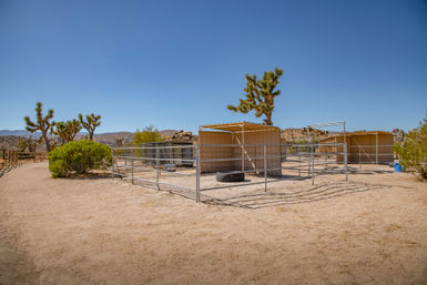 The Bust'n B Ranch: 4-Bedroom Rental on 10 Private Acres with Salt Water Pool + Built-In Spa image 77
